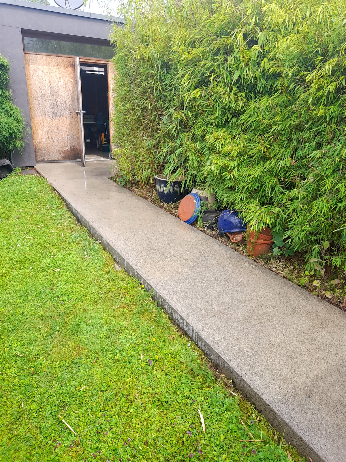 Allée en béton dans un jardin le long de bambous